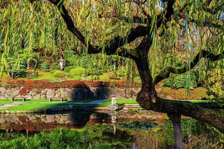 Seattle Japanese Garden #5 Digital Art by Michael Lee