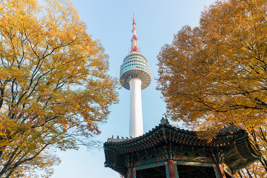 Seoul Tower With Yellow And Red Autumn Photograph by Prasit Rodphan ...