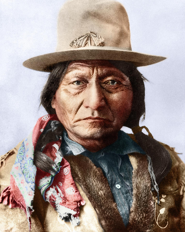 Sitting Bull (c1831-1890) #6 Photograph by Granger