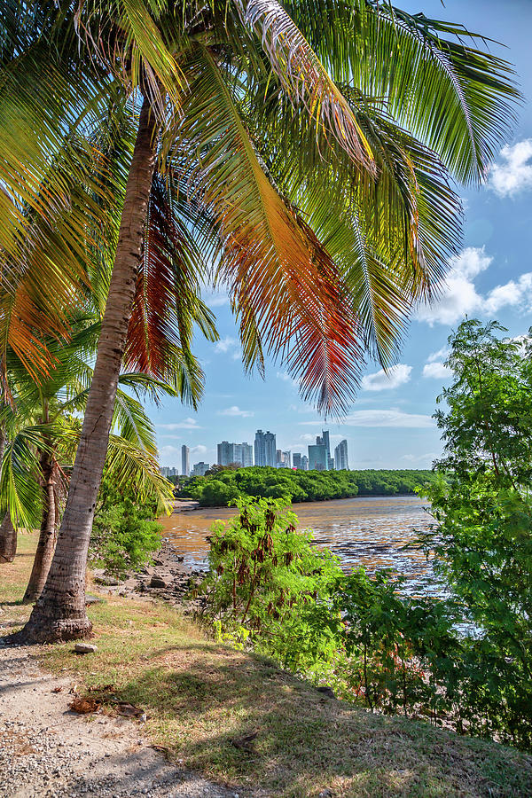 Skyline, Panama City, Panama #6 Digital Art by Lumiere