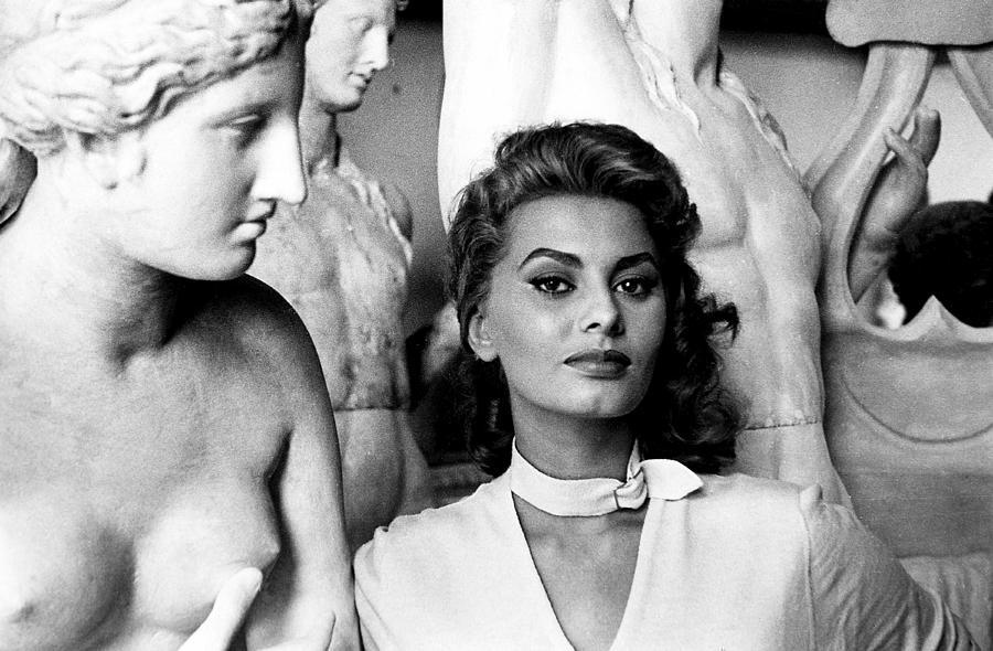 Sophia Loren Photograph by George Daniell