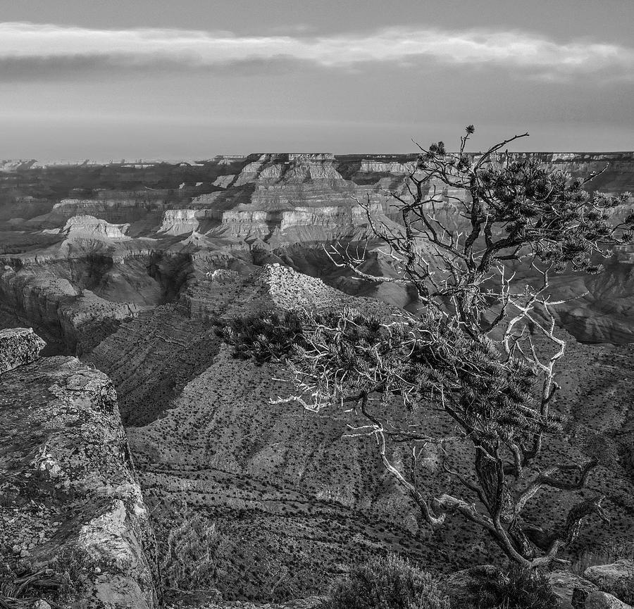 South Rim, Grand Canyon #6 Photograph by Tim Fitzharris