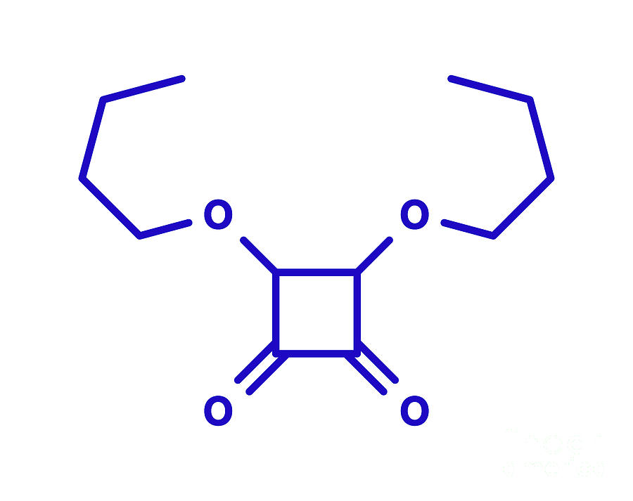 Squaric Acid Dibutyl Ester Drug Molecule Photograph By Molekuulscience