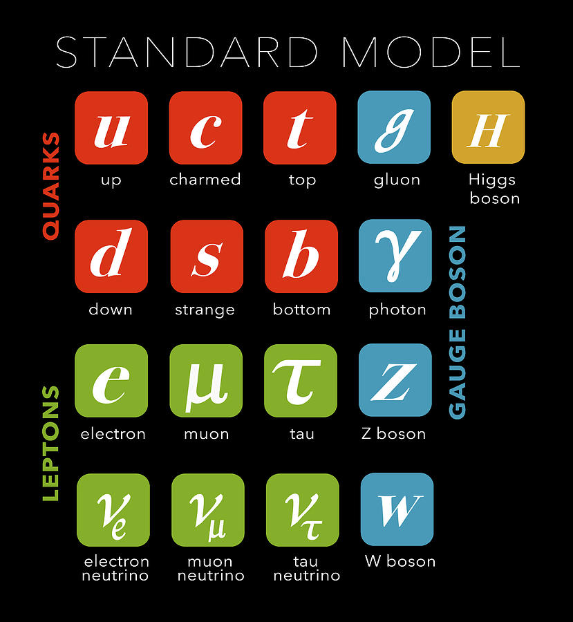 Standard Model, Particle Physics #6 Photograph by Monica Schroeder