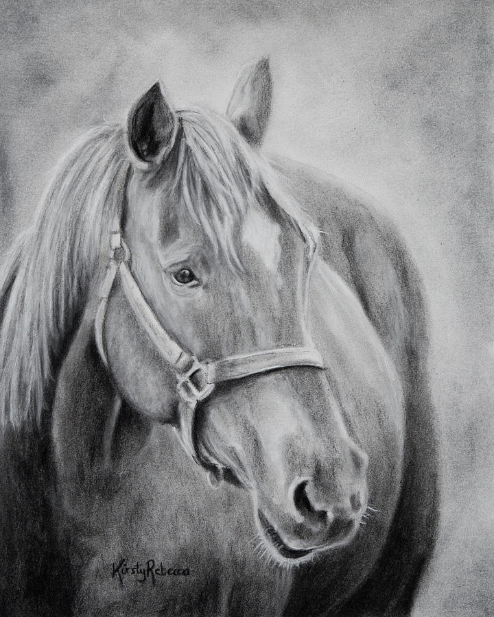 Take the Reins Drawing by Kirsty Rebecca