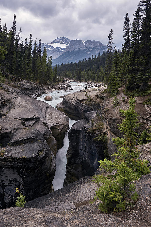 The Mistaya River Flows Through Mistaya Canyon In Banff National Park