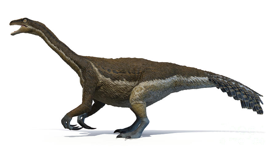 Therizinosaurus #6 Photograph by Sebastian Kaulitzki/science Photo Library