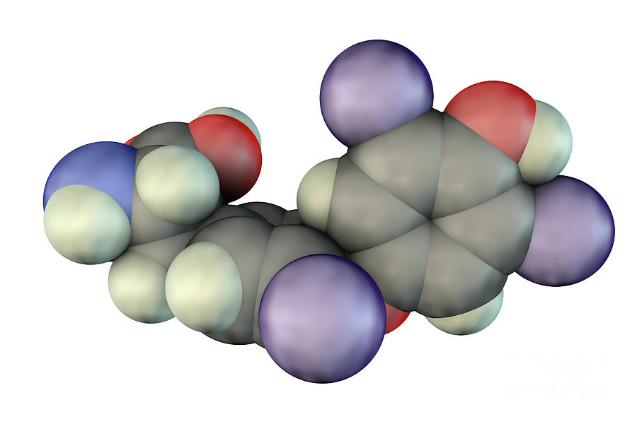 Thyroxine Hormone Photograph by Kateryna Kon/science Photo Library