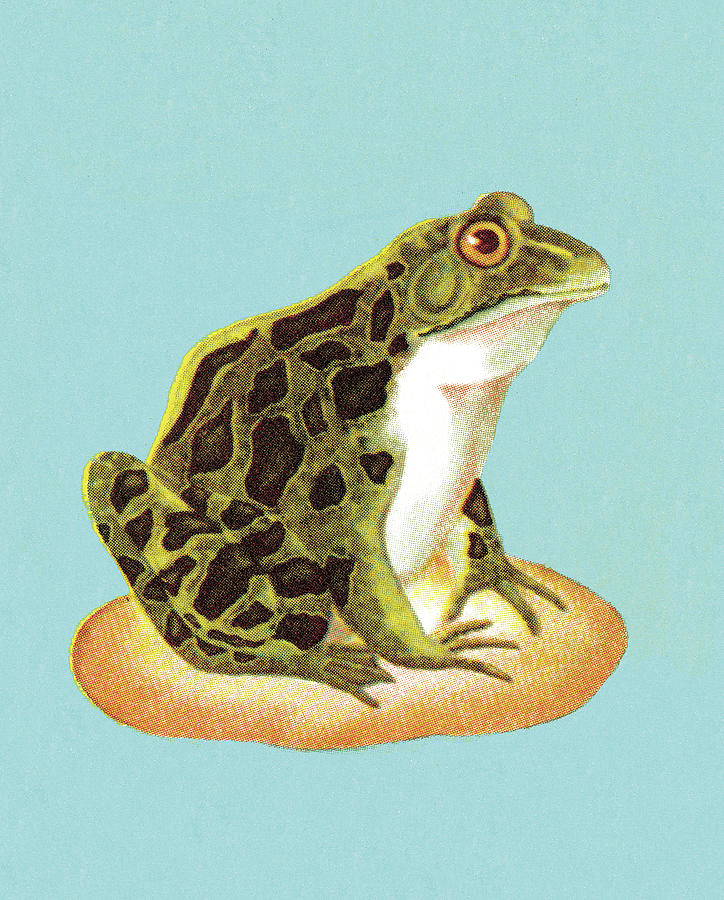 Vintage Drawing - Toad #6 by CSA Images