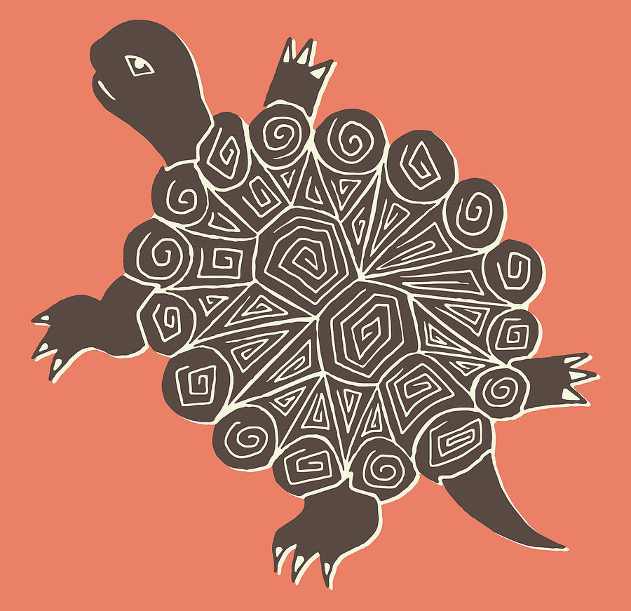 Turtle Drawing - Turtle #6 by CSA Images