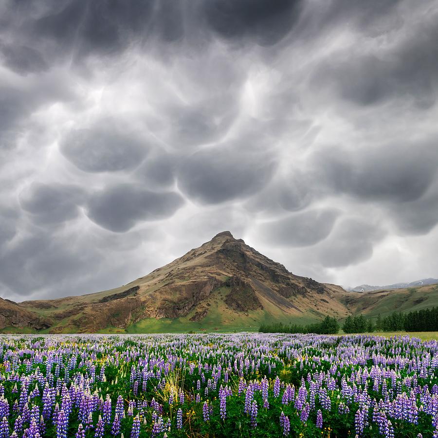 Mountain Photograph - Typical Iceland Landscape #6 by Ivan Kmit