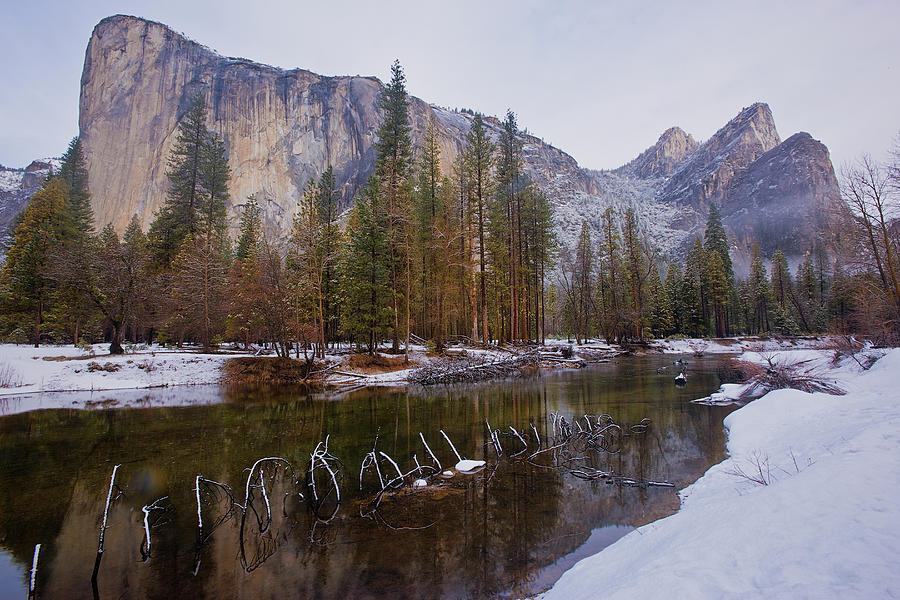 Usa, California, Yosemite National #6 Photograph by Don Smith