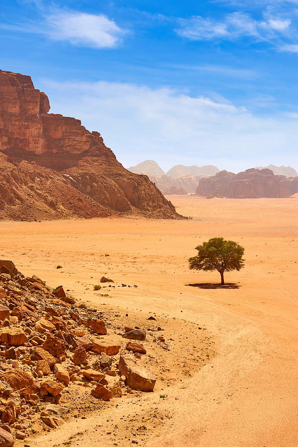 Desert Photograph - Wadi Rum Desert, Jordan #6 by Jan Wlodarczyk