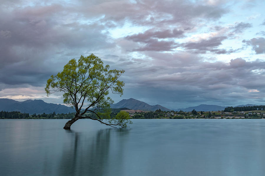 Wanaka - New Zealand #6 Photograph by Joana Kruse