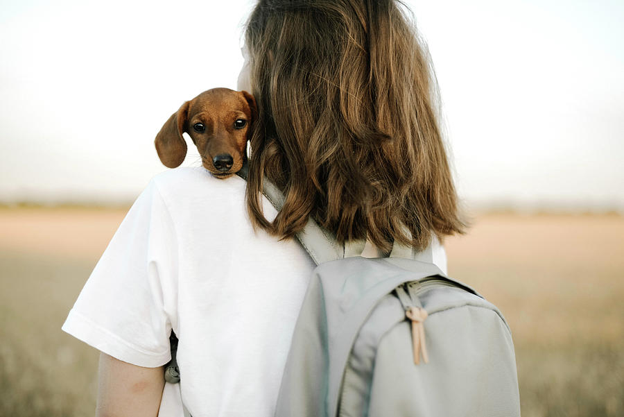 Woman Holding Dachshund Puppy Outdoor Photograph by Cavan Images - Fine ...