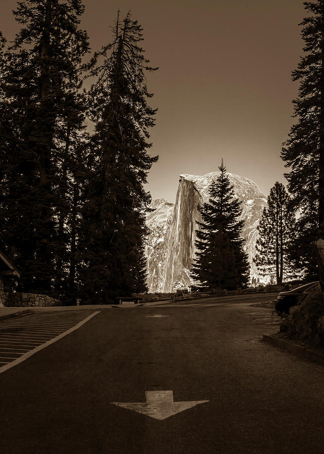 Yosemite In Sepia #6 Photograph by Terry Schmidbauer