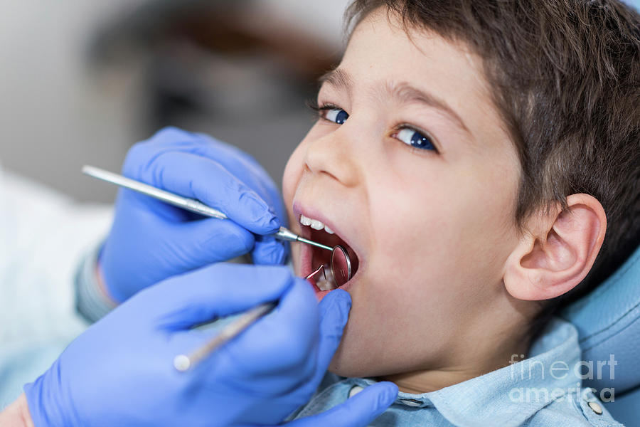 Young Boy Having Dental Check-up #6 Photograph by Microgen Images/science Photo Library
