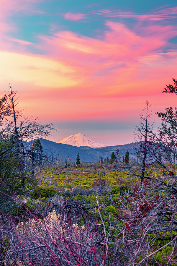 60 Miles to Mount Shasta Photograph by ProPeak Photography