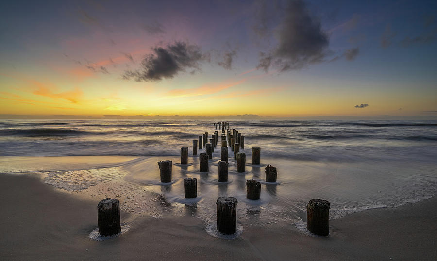 untitled by Bill Martin untitled by Bill Martin