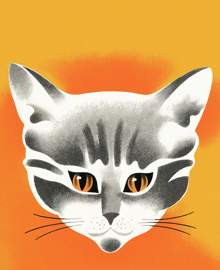 Vintage Drawing - Cat #62 by CSA Images