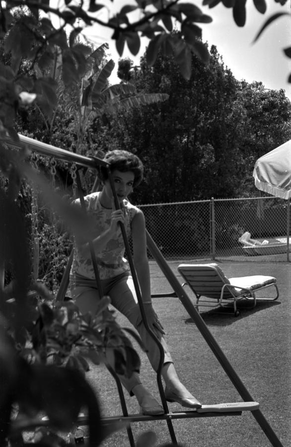 Polly Bergen Photograph by Bill Kobrin - Fine Art America