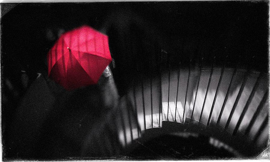 Umbrella Photograph -  #63 by Teruhiko Tsuchida
