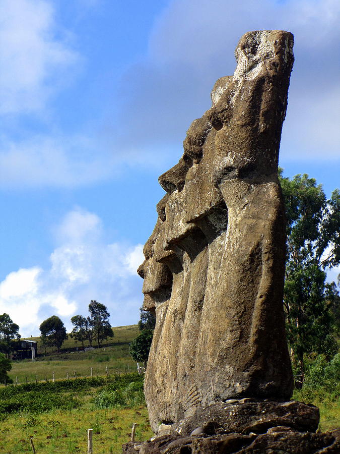 Easter Island Chile #63 Photograph by Paul James Bannerman