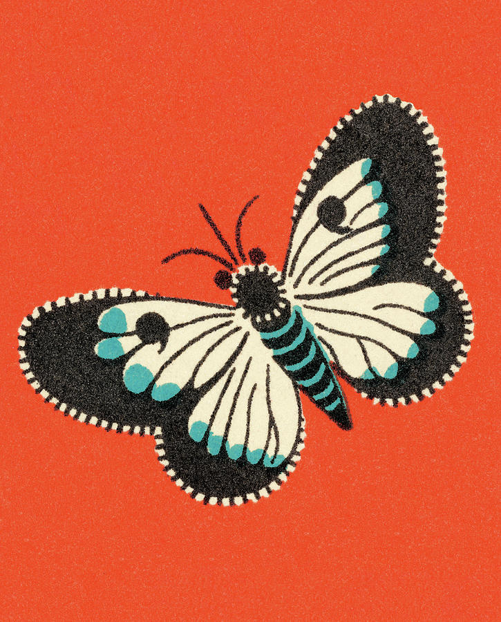 Butterfly Drawing - Butterfly #64 by CSA Images