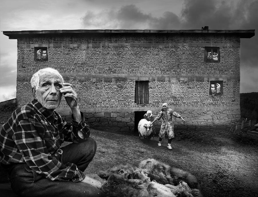 Sheep Photograph -  #65 by Todor Tanev