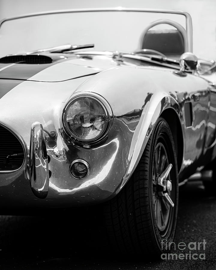 65 Shelby Cobra #65 Photograph by Dennis Hedberg