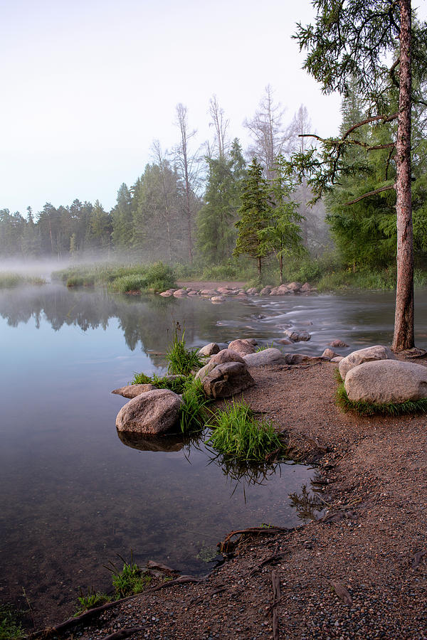 USA, Minnesota, Itasca State Park Photograph By Peter Hawkins - Fine ...