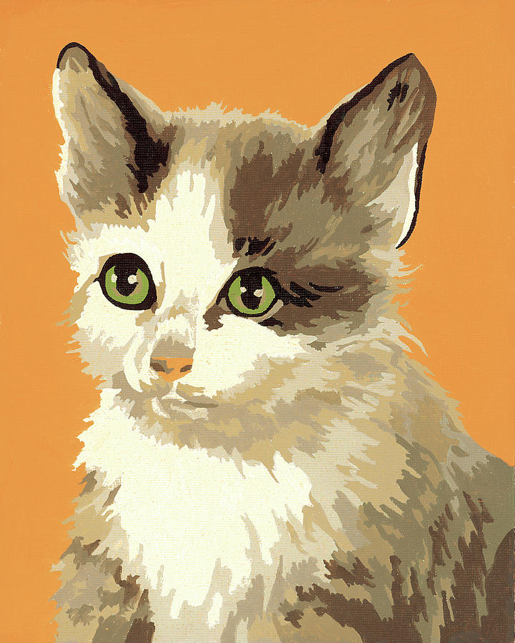 Vintage Drawing - Cat #66 by CSA Images