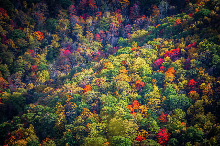 Blue Ridge And Smoky Mountains Changing Color In Fall Photograph