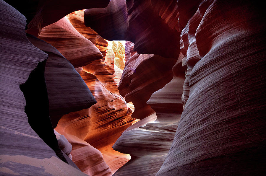 Abstract Sandstone Sculptured Canyon #7 Photograph by Mitch Diamond