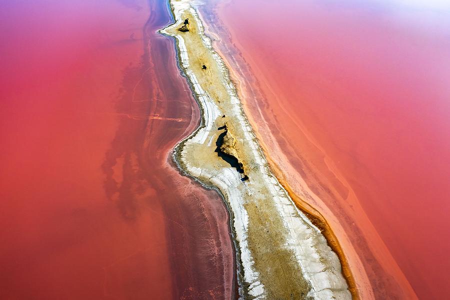 Abstract View Of Pink Lake Salt Water Photograph by Ivan Kmit - Fine