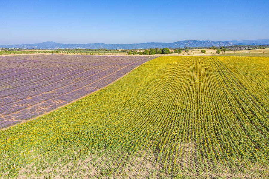 Nature Photograph - Aerial View Of Agricultural Fields #7 by Levente Bodo