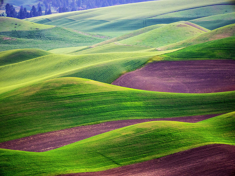 Palouse Area Maps