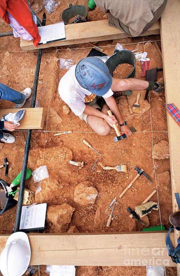 Atapuerca Fossil Excavation #7 Photograph by Javier Trueba/msf/science Photo Library