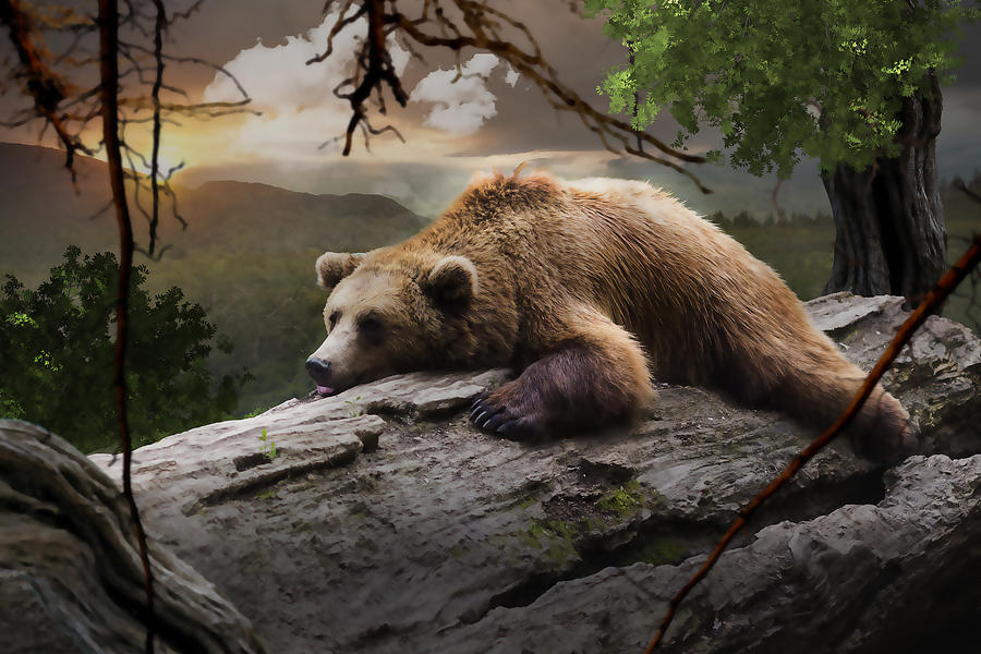 Nature Mixed Media - Bear #8 by Marvin Blaine