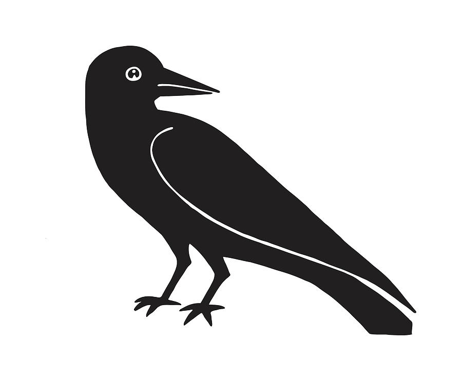 Black And White Drawing - Black Bird #7 by CSA Images