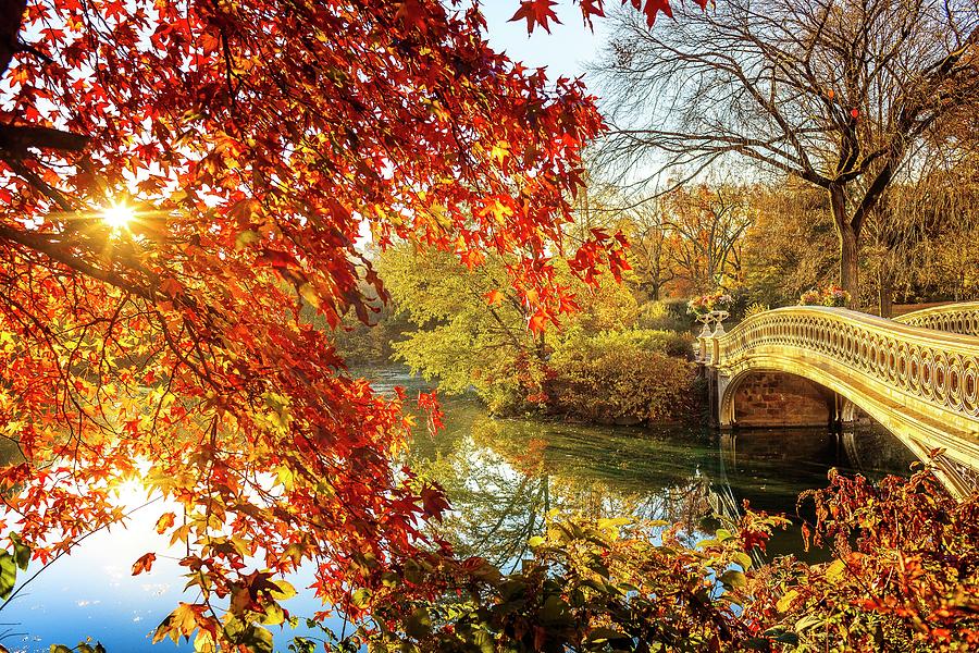 Bow Bridge In Central Park, Nyc Digital Art by Antonino Bartuccio ...