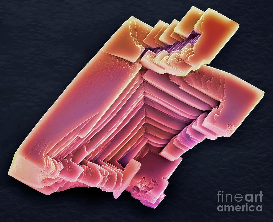 Calcium Carbonate Crystals #7 Photograph by Steve Gschmeissner/science Photo Library