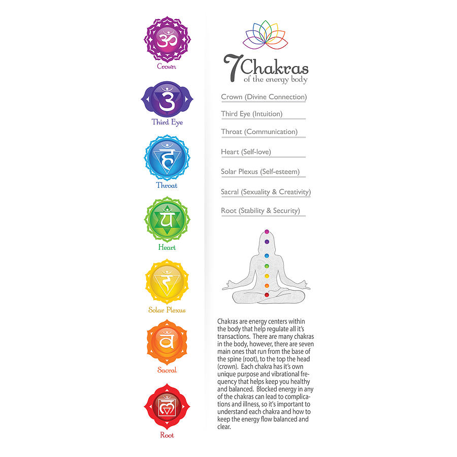 7 Chakra Poster #43b Digital Art By Serena King - Fine Art America