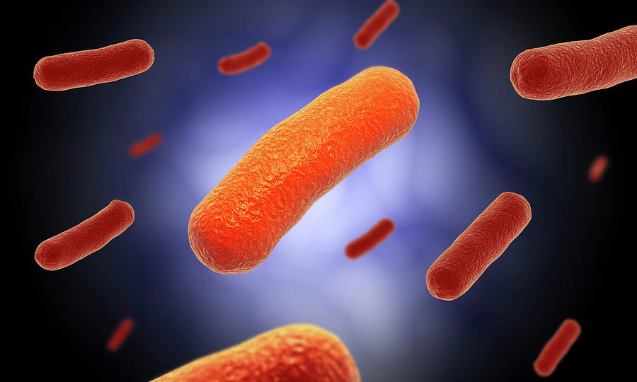 Conceptual Image Of The Bacillus #7 Photograph by Stocktrek Images