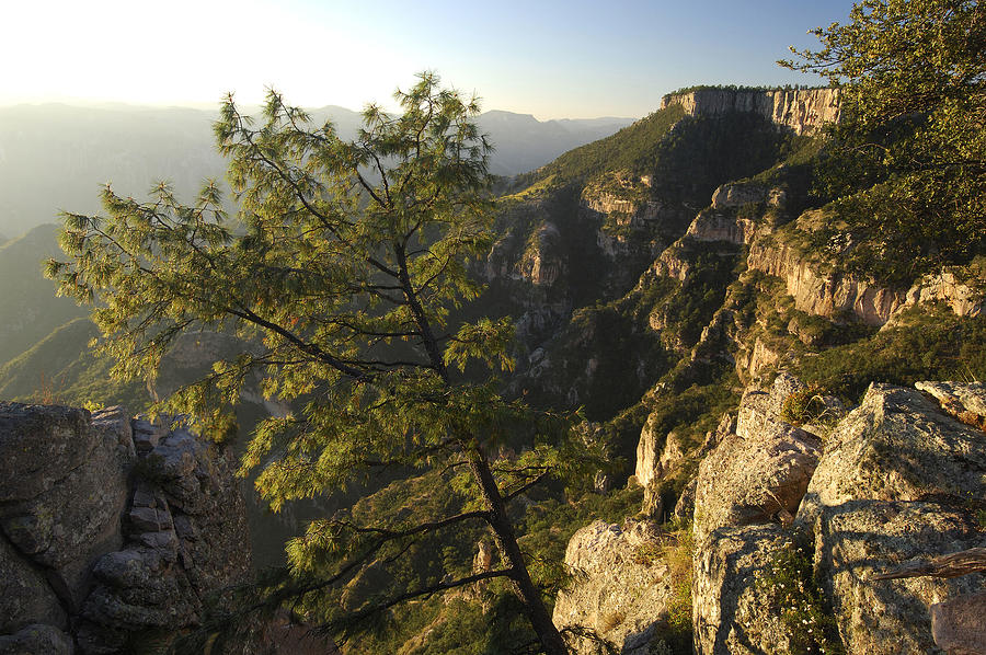 Copper Canyon, Chihuahua, Mexico Digital Art by Heeb Photos | Fine Art ...