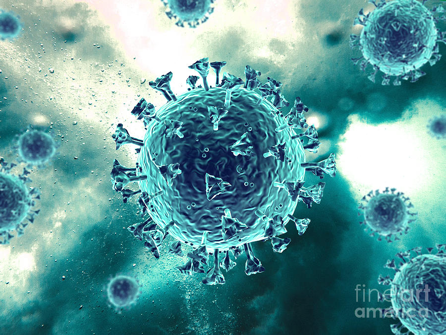 Bacteria Photograph - Coronavirus #7 by Leonello Calvetti/science Photo Library