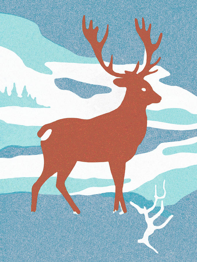 Christmas Drawing - Deer #7 by CSA Images