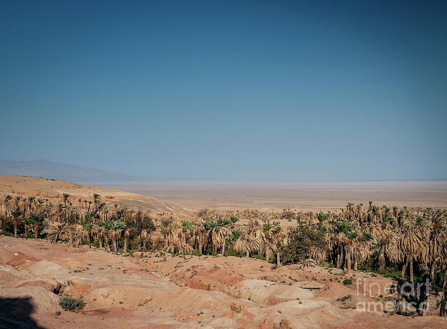 Desert Landscape View In Garmeh Oasis Southern Iran Photograph