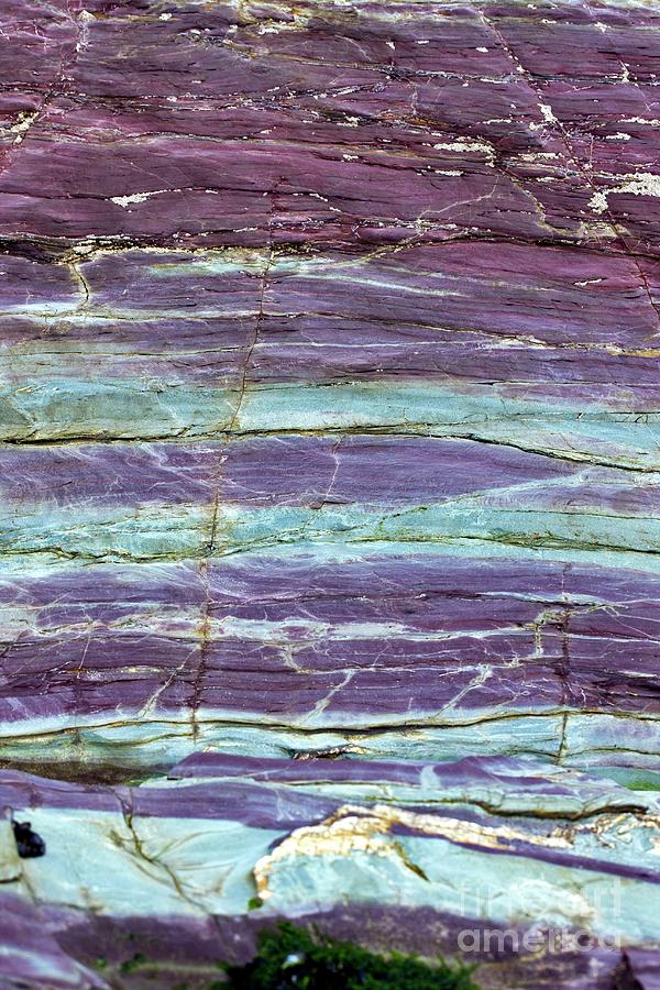 Devonian Slates #7 Photograph by Dr Keith Wheeler/science Photo Library