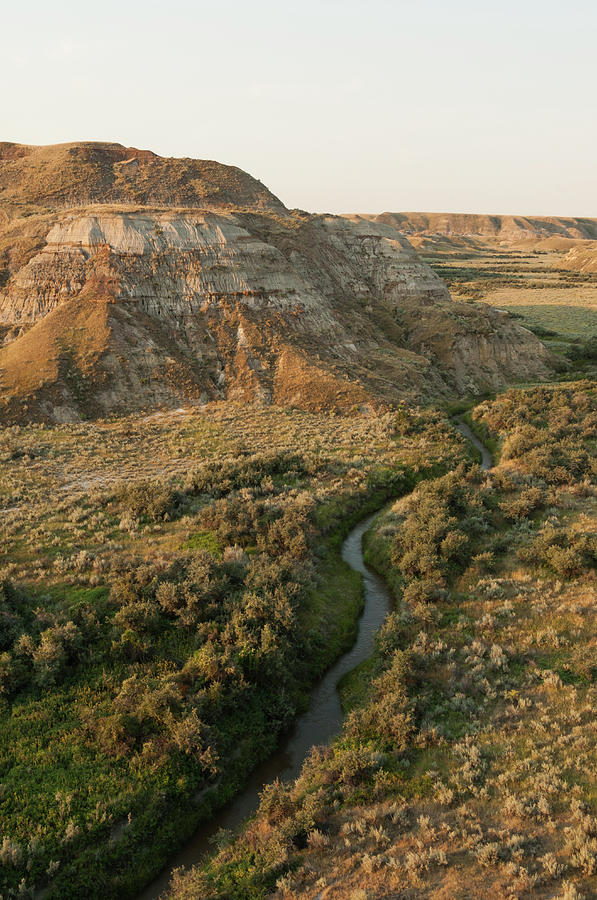 badlands dinosaur dig